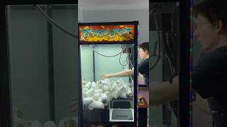 My Strange Addiction The iPad Claw Machine 🕹️ shorts arcade clawmachine [upl. by Enilarak718]