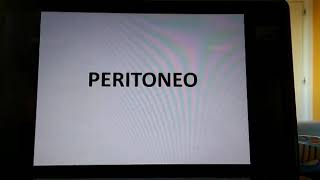 Peritoneo  pliegue peritoneal [upl. by Ahsuat]