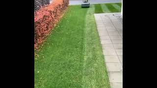 Some Sunday scarifying stripes from Sweden 😉 lawncare shorts frontgarden [upl. by Yroc]