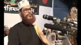 Bangla Jahannamer Voyabahota by Allama Delwar Hussain Sayeedi [upl. by Anicul]