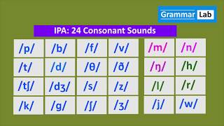 IPA 24 Consonant Sounds [upl. by Courcy]