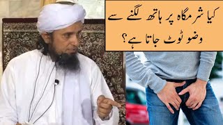 Kya Sharmgah Par Hath Lagne Se Wuzu Toot Jata Hy Mufti Tariq Masood [upl. by Hayalat329]