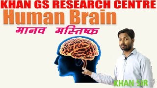 Biology  Human Brain मानव मस्तिष्क  Khan GS Research Center  Patna [upl. by Pedrotti976]