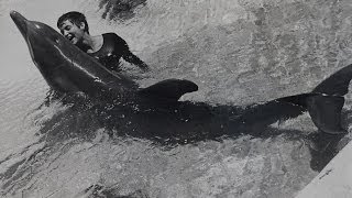 Dealing with a dolphins urges  The Girl Who Talked to Dolphins Preview  BBC Four [upl. by Namielus]