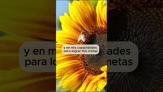 🌻 FRASES POSITIVAS para comenzar el día 🌞 [upl. by Ahl723]