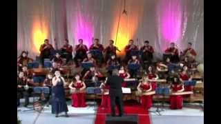 Harutyun Mkrtchyan amp Bellagio Band ❤️🇦🇲Garun e Galis [upl. by Aisyla798]