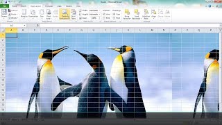 How to add excel background pictures  Intermediate 2 [upl. by Hewe892]