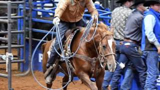 2016 AQHA World Show  Ralph Seekins Photos [upl. by Ardnovahs702]