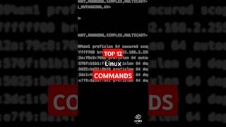 12 MustKnow Linux Networking Commandslinuxcommands linux cybersecurity [upl. by Aseneg]