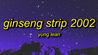 Yung Lean  Ginseng Strip 2002 Lyrics  b come and go but you know i stay [upl. by Eelydnarb]