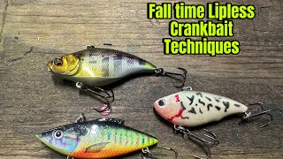 Strategies And Techniques For Fishing Lipless Crankbaits In October And November… [upl. by Siouxie]