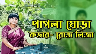 Pagla Ghora । পাগলা ঘোড়া [upl. by Atteram]