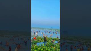 Bangladesh village many people Fishing video Dailylife97 shorts unfrezzmyaccount youtubeshorts [upl. by Eneryt]