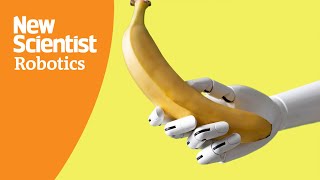 Finally a robot that can peel a banana without smushing it to bits [upl. by Alaecim6]