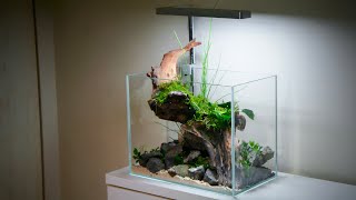 Making of the Anubias Stream Nano Aquascape Tutorial [upl. by Esdras308]