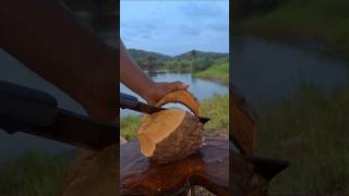 Black milk coconut peeling skills ASMR [upl. by Hassin947]