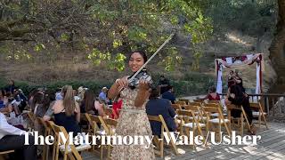 The Matrimony by Wale ft Usher Wedding Violin Cover Electric Violinist  Wedding Music  Bay Area [upl. by Eirotal986]