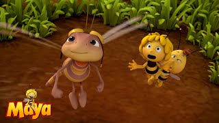 The HeadtoHead Race  Maya the Bee🐝🍯🐝 [upl. by Eremihc563]