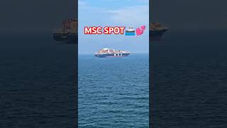 MSC ENTRY MSC VIEW CONATINERS SHIPME🤭💕shorts trending subscribe viralshorts love navy [upl. by Enyawed434]