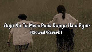 Aaja Na Tu Mere Paas Dunga Itna Pyar Tumhe  SlowedReverb   Priyanshu Lofi World 🌍 [upl. by Hildegaard]