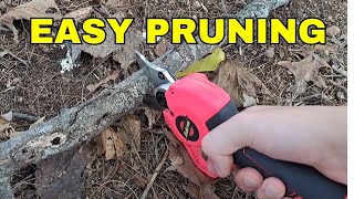 Rokrou Electric Pruning Shears [upl. by Uyr]