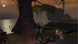 Lord of the Rings The Fellowship of the Ring PC Part 12 Lothlórien  River Anduin [upl. by Meggs]