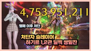 Lost Ark 처단자 상향 이후 하기르 12관 올밑잔 [upl. by Maleeny]