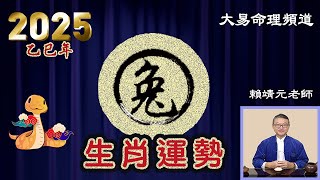 2025年 兔 生肖運勢｜2025 生肖「兔」 完整版｜2025年 运势 兔｜乙巳年運勢 兔 2025｜2025年 运途 兔｜兔 生肖运程 2025｜大易命理頻道｜賴靖元 老師｜CC 字幕 [upl. by Ellenid637]