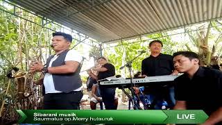 sibarani musik live bandar sawah [upl. by Emolas986]