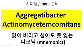 니모닉 Aggregatibacter actinomycetemcomitans [upl. by Let467]