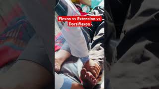 Flexon vs Extension vs Dorsiflexon  flexon extension dorsiflexion clinical doctor physician [upl. by Gnilyam]