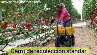 Carrito recolector de hortalizas [upl. by Edrahs]