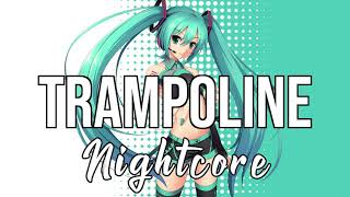 NIGHTCORE Trampoline  SHAED [upl. by Emor385]