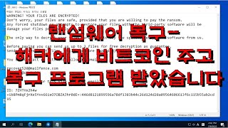 랜섬웨어 복구 방법해커한테 받은 복구 프로그램 실행 백업웨어 유지보수 VR005 [upl. by Oinigih]