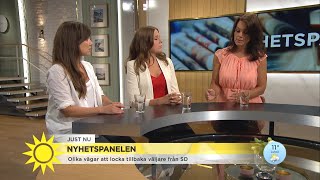 Olika vägar att locka tillbaka väljare från SD  Nyhetsmorgon TV4 [upl. by Marwin]