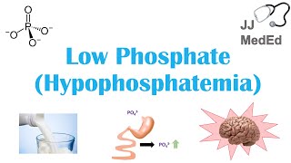 Low Phosphate Hypophosphatemia Causes Symptoms Treatment  amp Role of Phosphate Dietary Sources [upl. by Elrebma]