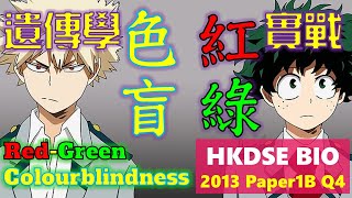 DSE Bio │ HKDSE 2013 1B Q4│redgreen blindness 紅綠色盲實戰│Faith Education 雙語Bilingual [upl. by Nednal]