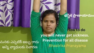 BASTRIKA PRANAYAMA భస్త్రిక ప్రాణాయామం power full pranayama never get sickness [upl. by Gulgee]