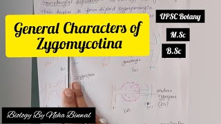 General Characters of Zygomycotina l Biology By Neha Binwal l UPSC Botany l NEET l MSc l BSc [upl. by Otrebcire]