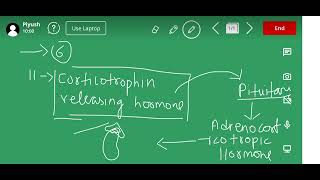 Corticotropin releasing hormone  11th Class [upl. by Gunter]