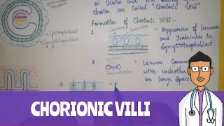 Chorionic Villi [upl. by Atteve843]