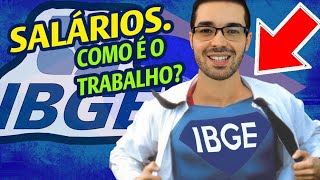 Concurso IBGE Respire Fundo e Veja Como é TRABALHAR no IBGE  Recenseador IBGE o que faz [upl. by Ahsirhcal]