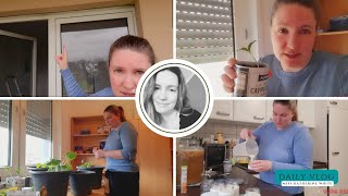 DailyVlog ZucchiniUmpflanzung amp erstes JoghurtExperiment [upl. by Fitzgerald]