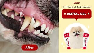 JAYU PET Dental Gel freshens doggy’s breath🥰🥰 [upl. by Kavanagh186]