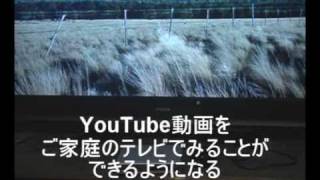 【IO DATA】ビデオキャッシュでYouTubeが超快適！RockTube ロックチューブ [upl. by Nayra]