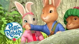 Peter Rabbit  Join the Rabbit Party  Cartoons for Kids [upl. by Anivad]