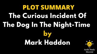 Plot Summary Of The Curious Incident Of The Dog In The NightTime By Mark Haddon [upl. by Nylannej]