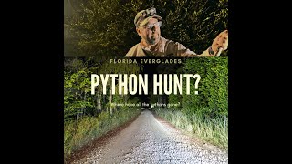 Florida Everglades Python Hunt Where have they gone [upl. by Jarvey]