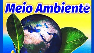 Vídeo Aula  O MEIO AMBIENTE  Conceito Importância Problemas e Preservação [upl. by Adelia]