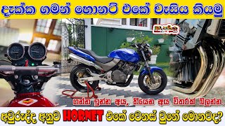 හොනට් එකේ චැසි වෙනස් වෙන්නෙ කොහොමද  How does the Honda Hornet 250 chassis change by year [upl. by Leclair]